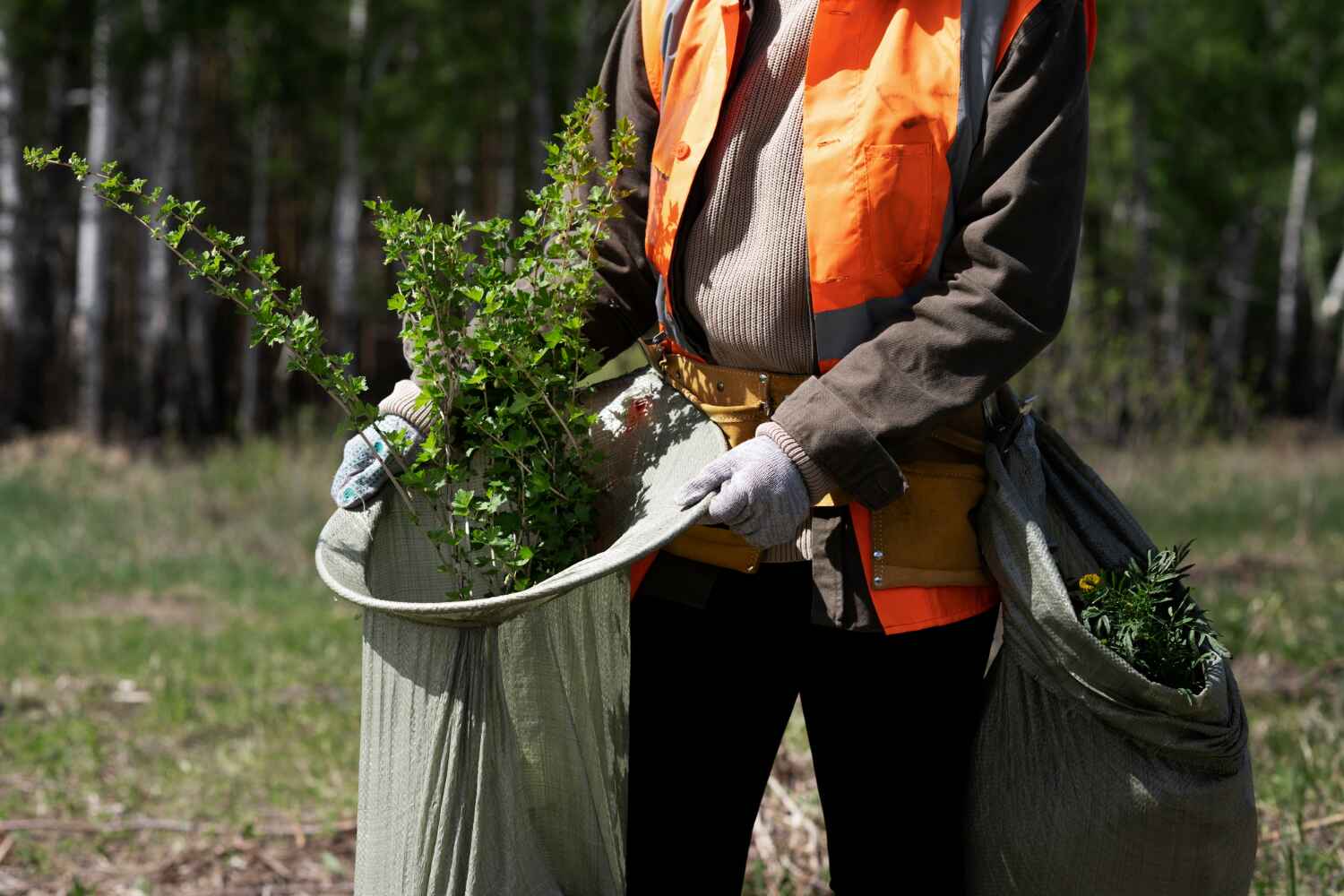 Best Tree Stump Removal  in Columbia Heights, MN